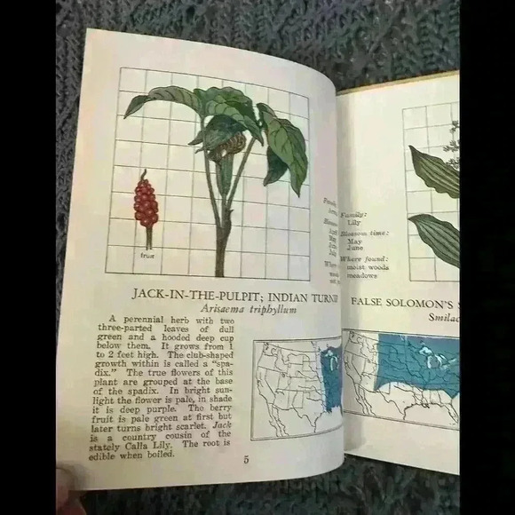 Vintage Small Book 1935 Wild Flowers At A Glance by Julius King Signed - Picture 6 of 8